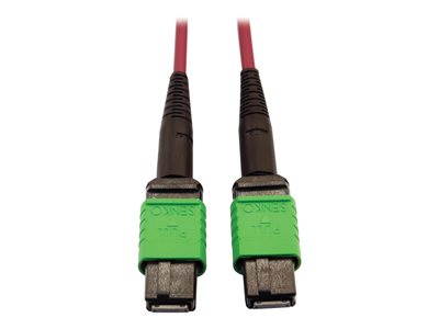 Eaton Tripp Lite Series 400G Multimode 50/125 OM4 Plenum-Rated Fiber Optic Cable, 16F MTP/MPO-APC (F/F), Magenta, 3 m