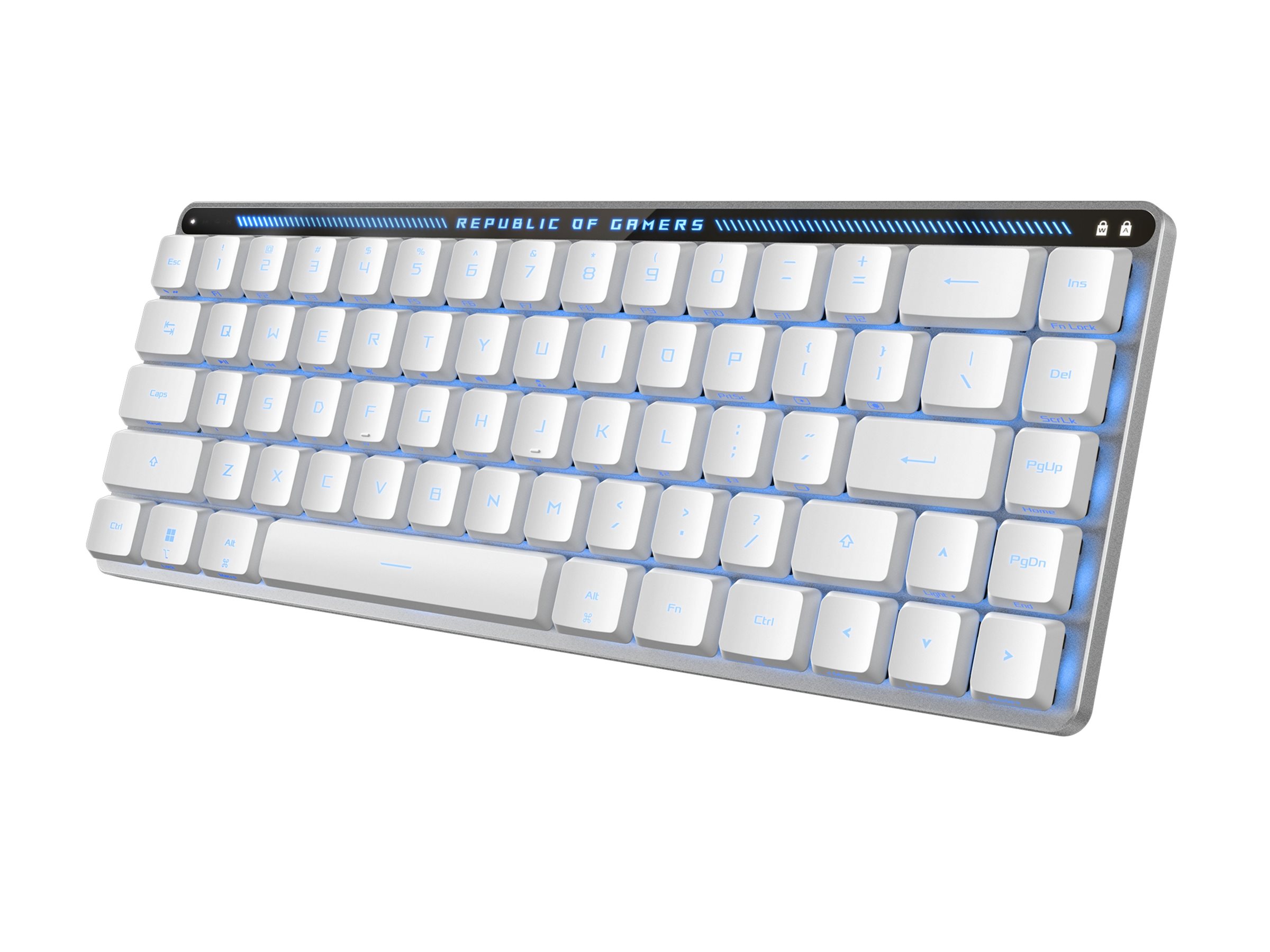 ASUS ROG Falchion RX