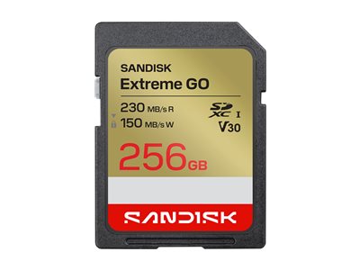 Extreme Go - Flash memory card - 256 GB - Video Cl