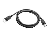 Lenovo DisplayPort cable - 1.8 m