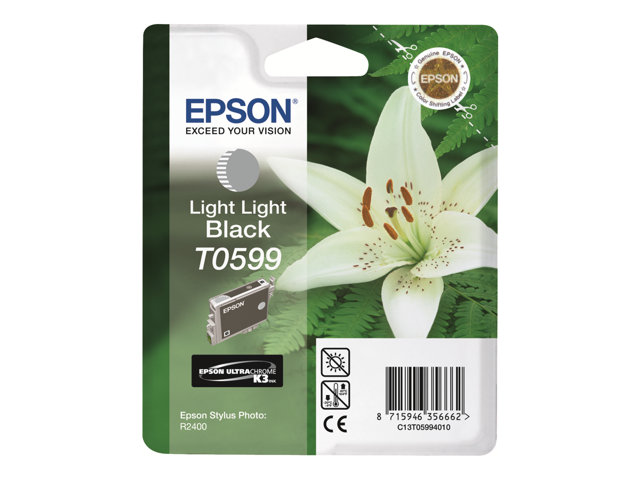 EPSON 5LB T0599 ink cartridge light