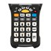 Zebra Numeric Primary