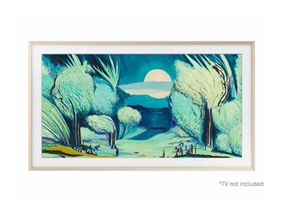65IN THE FRAME CUSTOMIZABLE BEZEL