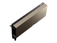 NVIDIA Tesla A100 Passive - GPU computing processor - NVIDIA Tesla A100 - 80 GB