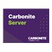 Carbonite Server Hybrid Bundle