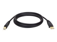 Eaton Tripp Lite Series USB 2.0 A to B Cable (M/M), 6 ft. (1.83 m)