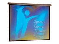 Draper Targa - Projection screen