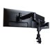 R-Go Double monitor arm Caparo