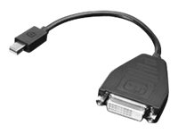 Lenovo Adapter Mini DisplayPort -> DVI-D 20 cm