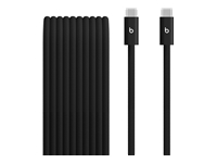 Beats - Câble USB - USB-C (M) pour USB-C (M) - USB 2.0 