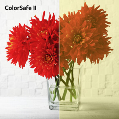 Acer ColorSafe II