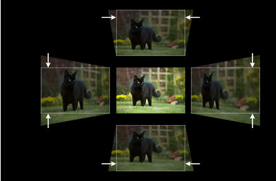 Projection rapide