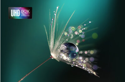 En ægte biografoplevelse