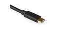 folie 4 von 6, vergrößern, usb-c auf sata adapter kabel - für 2,5 / 3,5" sata ssd / hdd laufwerke - 10 gbit/s - usb 3.1 - sata zu usb adapter (usb31c2sat3)