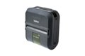 slide 1 of 2, zoom in, rj4040z1