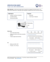open a new tab with document