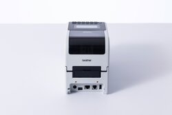 Netværkstilslutning