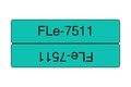 slide 4 of 4, zoom in, fle7511