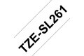 slide 4 of 4, zoom in, tzesl261