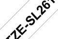 slide 4 of 6, zoom in, tzesl261