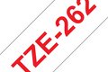 slide 1 of 22, zoom in, tze262