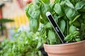 slide 5 of 22, zoom in, tze325