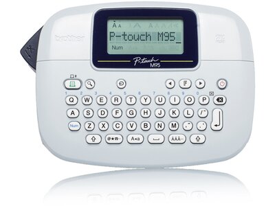 PTM95