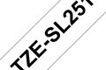 slide 2 of 6, zoom in, tzesl251