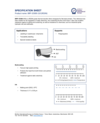open a new tab with document