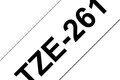 slide 1 of 22, zoom in, tze261