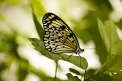Miljø og bæredygtighed