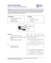 open a new tab with document