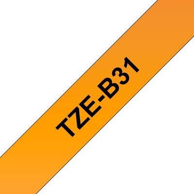 TZeB31