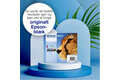 slide {0} of {1}, zoom in, Multipack 4-colours T071 EasyMail