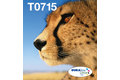 folie 1 von 11, vergrößern, multipack 4-colours t071 easymail