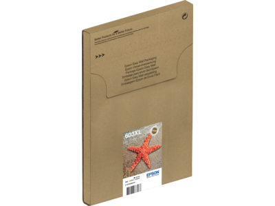 Multipack 4-colours 603XL EasyMail
