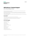 HPE Software Technical Support (English)