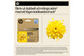 HP_EvoMore_DigitalAssets_GalleryTiles_2000x2000_02_937e_Yellow - Swedish sv_SE