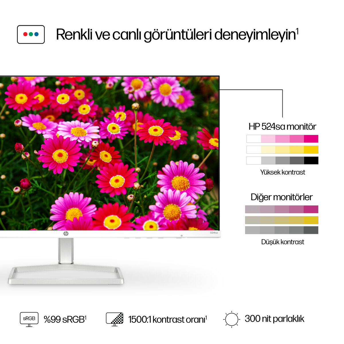 HP S5 524sa 23.8 inç 100Hz 5ms (HDMI + VGA) FHD IPS Hoparlörlü