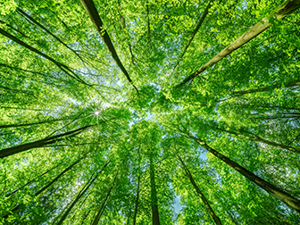 Energy Star-certificeret