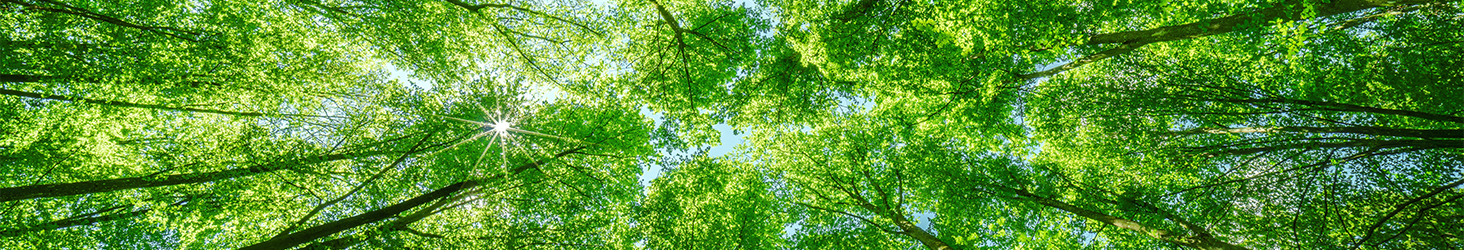 HP DesignJet T870 24-in Printer