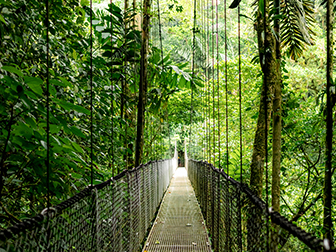 Help protect our shared future