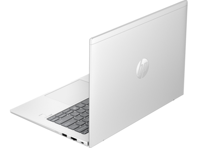 HP ProBook 445 14 inch G11 Notebook PC