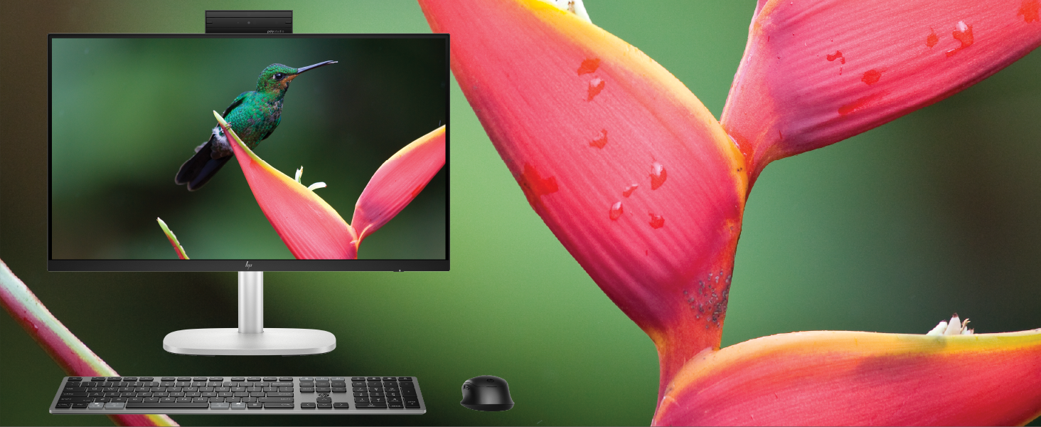 HP EliteStudio 8 All-in-One G1i 23.8 inch Desktop AI PC Wolf Pro Security Edition