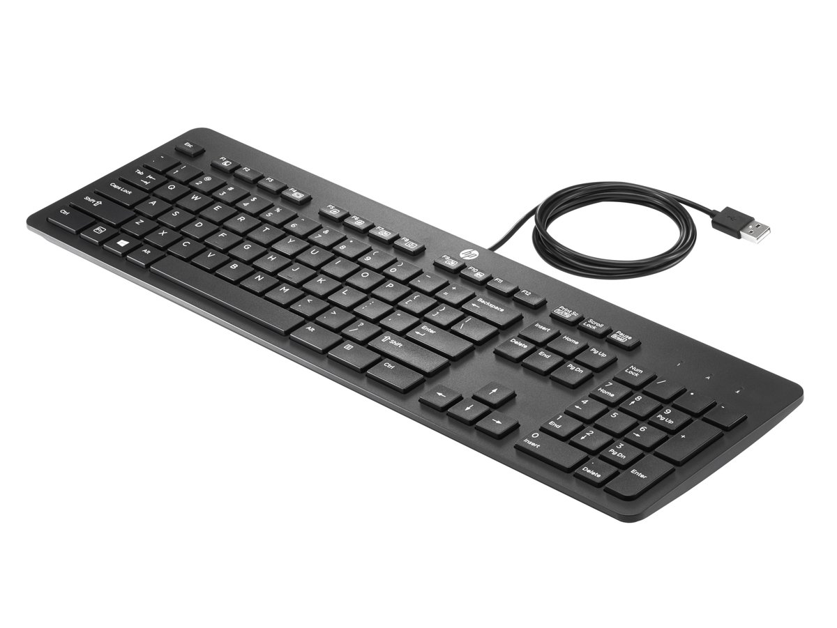 olvidar Cabaña transmisión HP Business Slim - Keyboard - USB - US Business Keyboard Keyboards -  Newegg.com