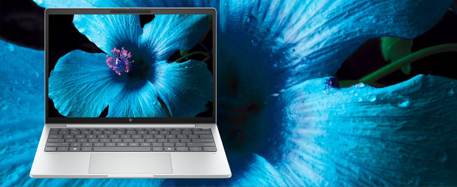 HP EliteBook 8 G1a 13 inch Notebook Next Gen AI PC