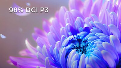 ThinkVision P32UD-40 Monitor