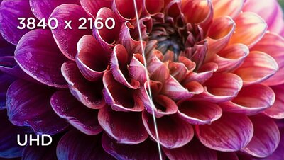 ThinkVision P32UD-40 Monitor