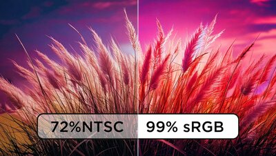 Klar skærm med farvenøjagtighed