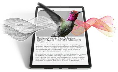 FORDYBENDE LÆSETILSTAND